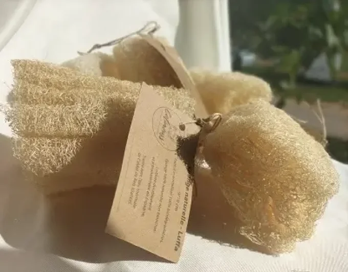 Eponge naturelle Luffa