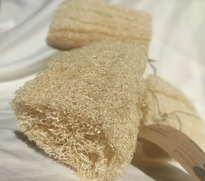 Eponge naturelle Luffa